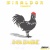 Coqdanse